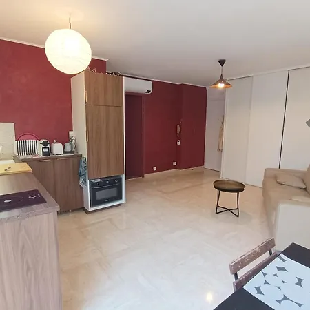 Refurbished With Terrace And Garden Lejlighed Nice